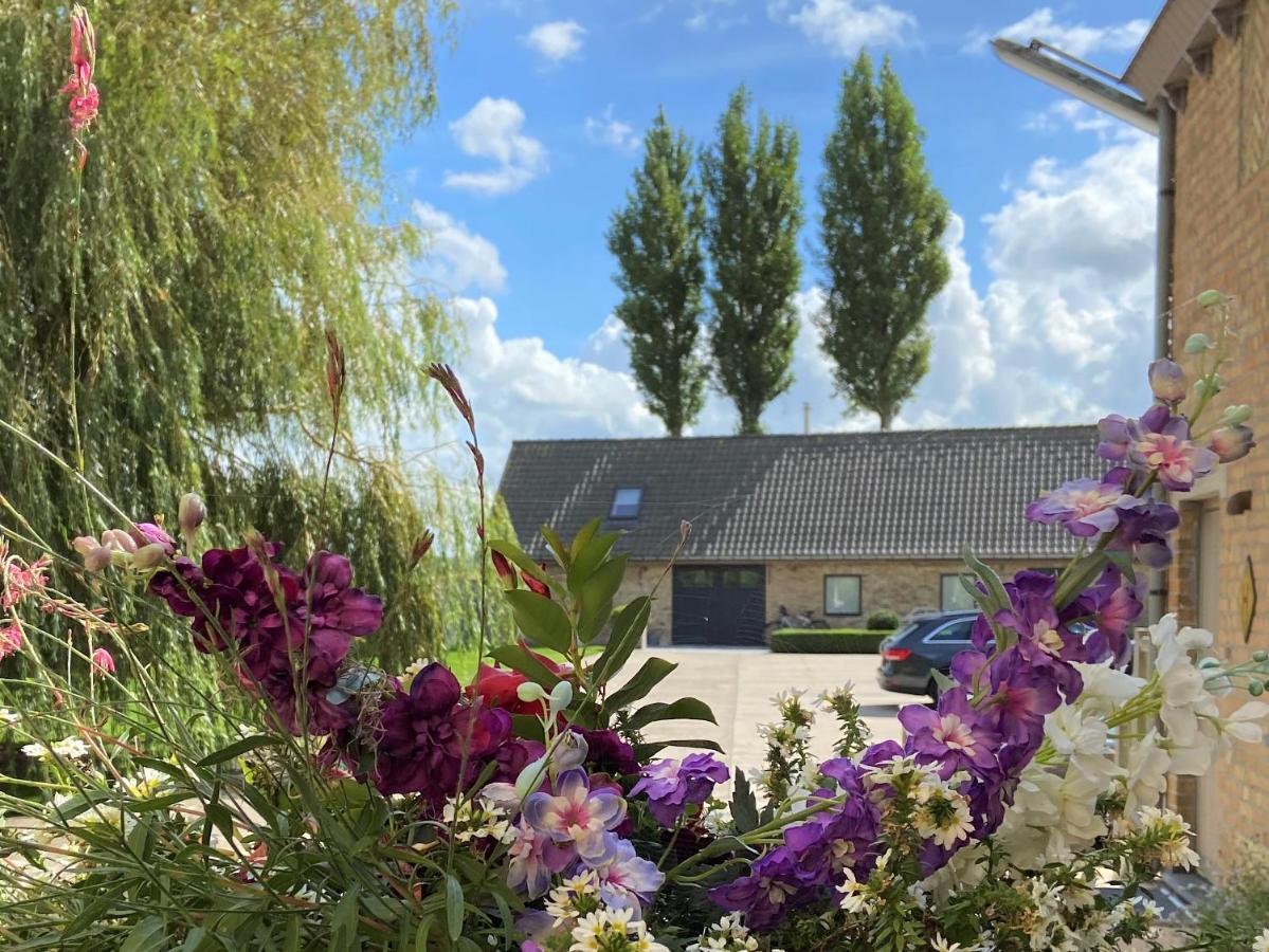 Gastenverblijf 'T Landsheertje Veurne Exteriör bild