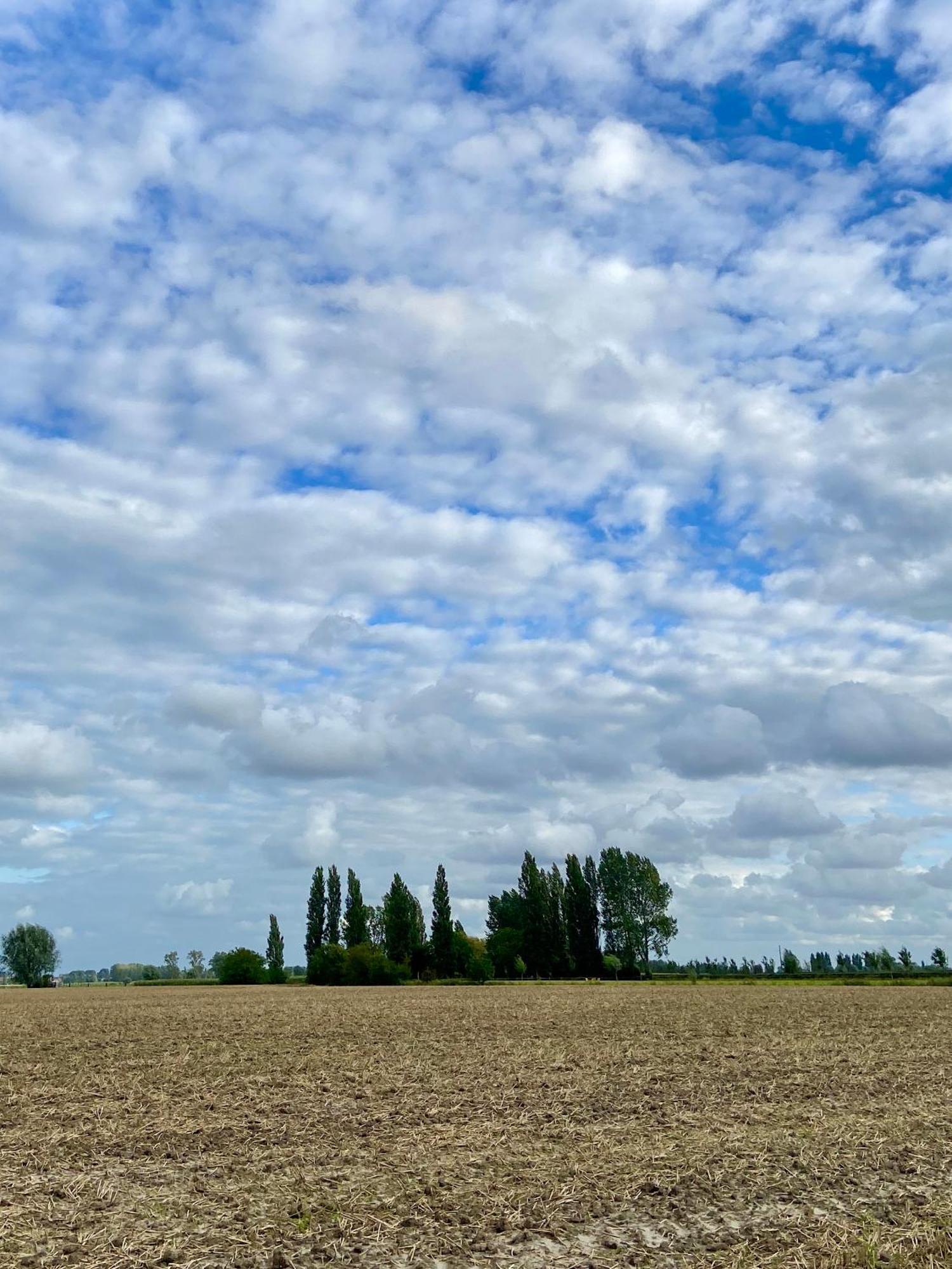 Gastenverblijf 'T Landsheertje Veurne Exteriör bild